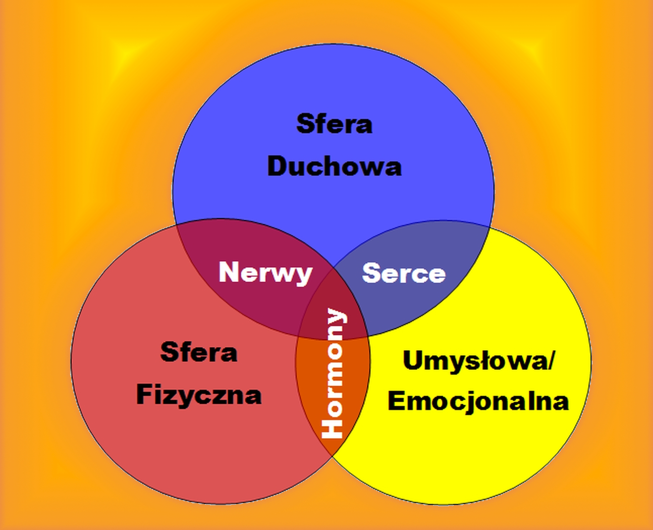 Zdrowie to brak choroby czy… równowaga?